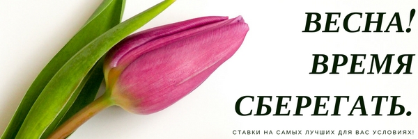 Новые условия по ставкам приема сбережений
